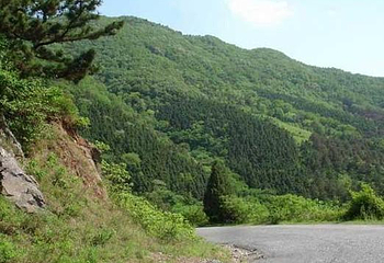 文峰山公园第 1 张图片
