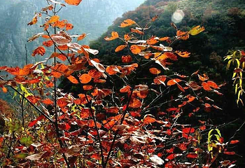 驼峰景区第 1 张图片