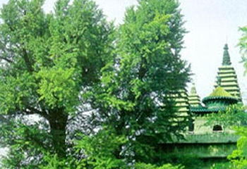 惠济寺第 1 张图片