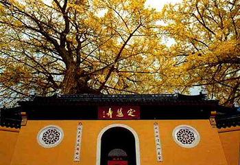 定慧寺第 1 张图片