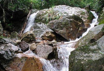 大佑山生态旅游区第 1 张图片