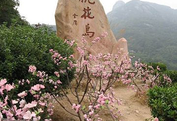 顶首庵第 1 张图片
