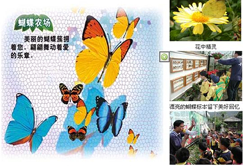 蝴蝶农场第 1 张图片