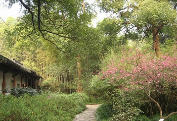 三明瑞云山风景名胜区第 4 张图片