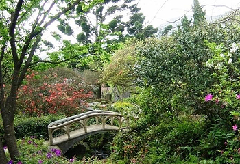 阳明山国家公园第 9 张图片