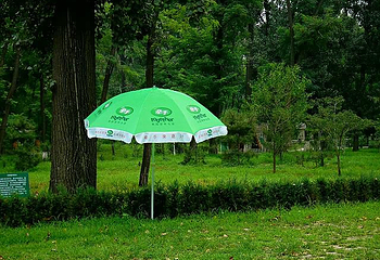 北京绿色度假村第 6 张图片