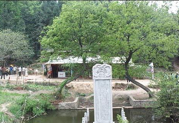 光化寺第 1 张图片