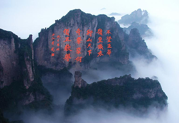 王莽岭风景区第 19 张图片
