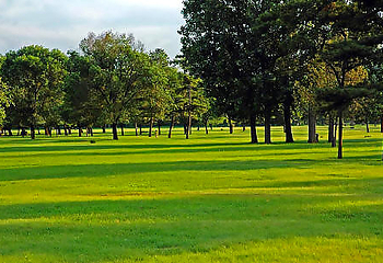 平原区第 1 张图片