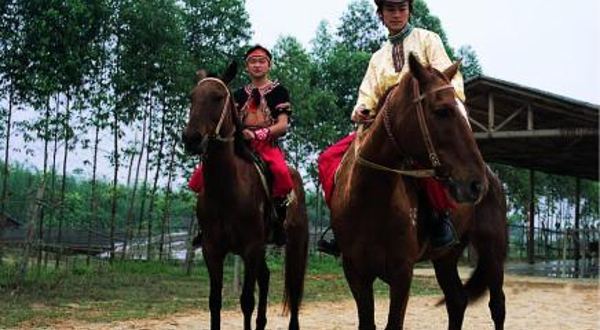 清新牧场骑马俱乐部