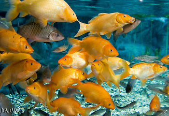 长江水族世界第 1 张图片