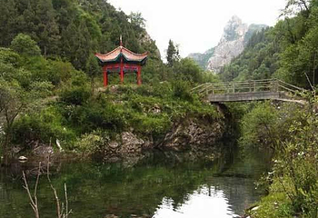 河北森林第 1 张图片