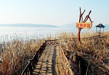 湿地公园第 1 张图片