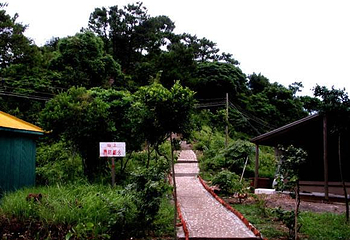 火山岛第 12 张图片