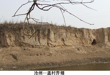 沧州齐堤第 1 张图片