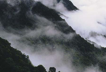 阴那山第 1 张图片
