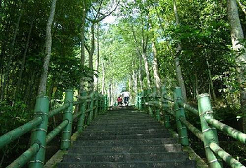 凤凰谷风景区第 1 张图片