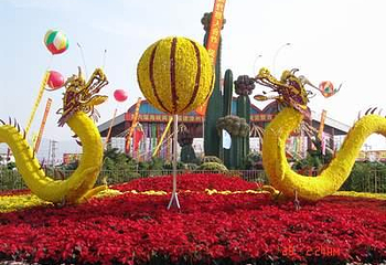 百花村第 1 张图片