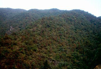 鳌峰山第 1 张图片