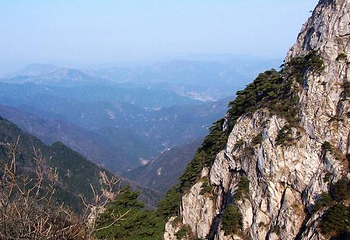天目山自然保护区第 43 张图片