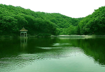 嵩县天池山国家森林公园第 13 张图片