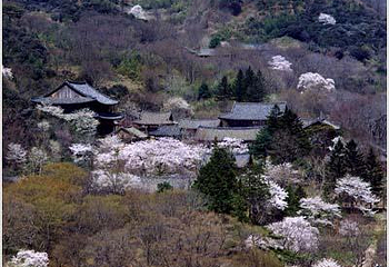 韩国华严寺第 3 张图片