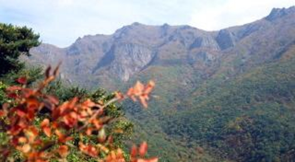 迦智山道立公园