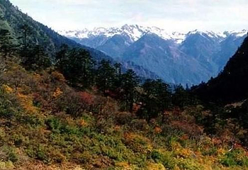 高山国家森林公园第 1 张图片