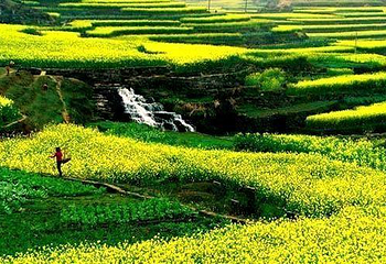 菜花峪第 1 张图片