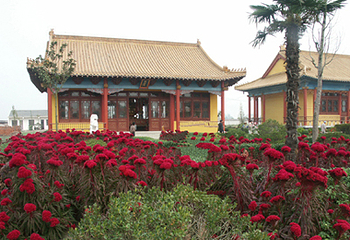 东方禅寺第 1 张图片