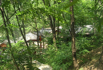 吕祖泉景区第 8 张图片