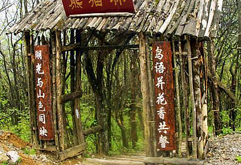 熊猫林第 1 张图片
