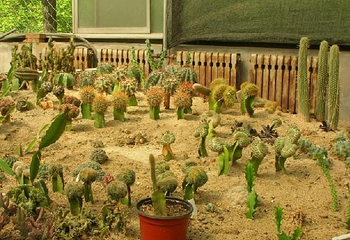西安植物园新区第 6 张图片