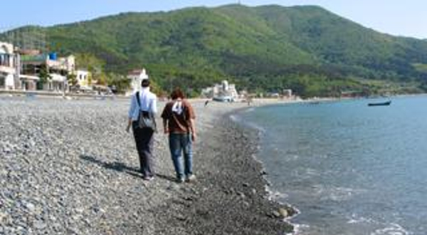 鹤洞黑鹅卵石海岸