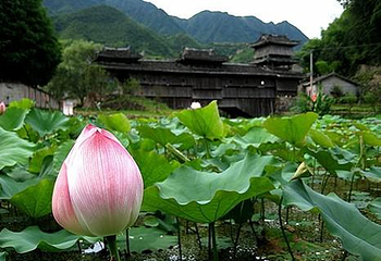 举水月山村第 1 张图片