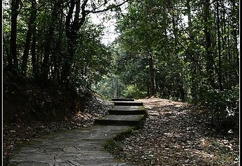 紫溪山风景区第 5 张图片