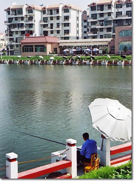 怎么去,怎么走):  广东省深圳市南山区月亮湾青青街1号青青世界