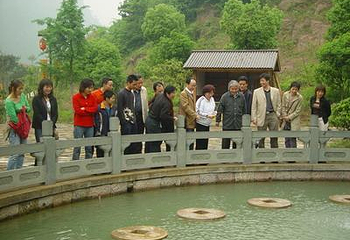 投缘池第 1 张图片