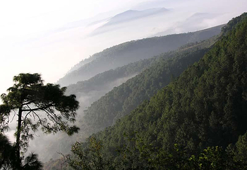 武定狮子山风景区第 10 张图片