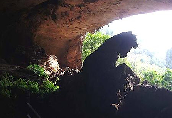 雄狮厅第 1 张图片