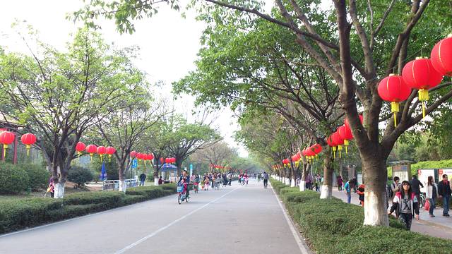 大夫山森林公园