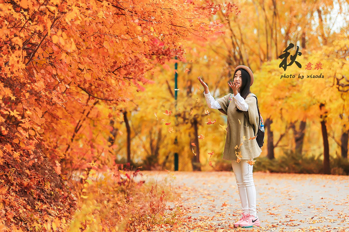 【秋意浓】遇见最美的长城