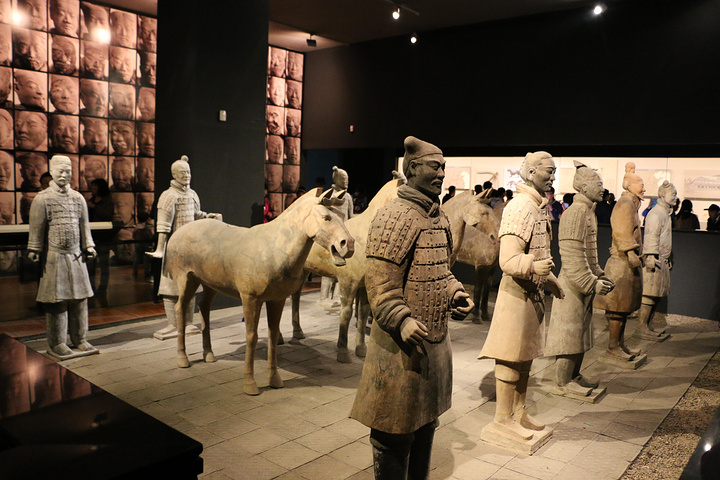 博物馆还是不能免费人太多免票的队排出去几百米收费20的队没人展厅