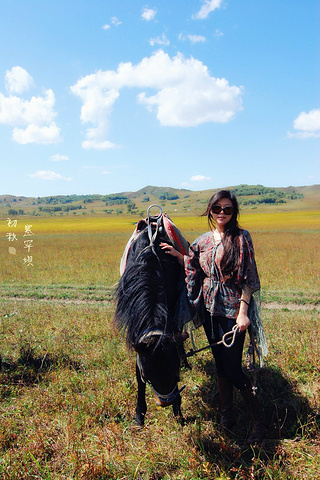 "据说夏季里沿途是一望无际的花海，美不胜收，可惜来错了时节。但来了草原若不骑马，那岂不是一大遗憾_百花坡"的评论图片