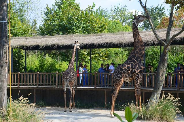 上海野生动物园