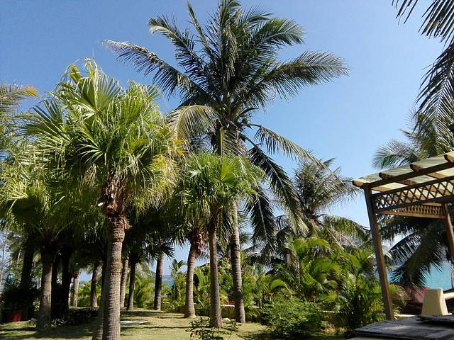 亚龙湾海底世界