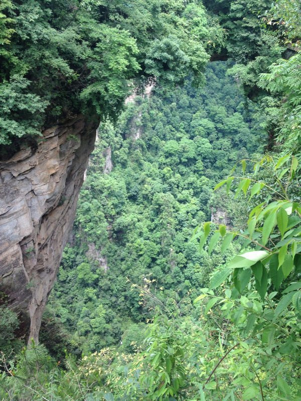 托利莫尔森林公园