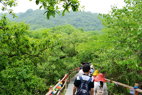 大青沟站旅游景点攻略图