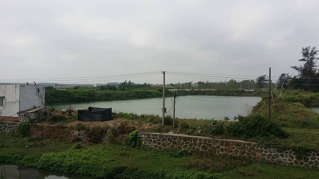 广东湛江红树林国家级自然保护区