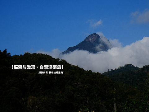 五指山雨林谷漂流旅游景点图片